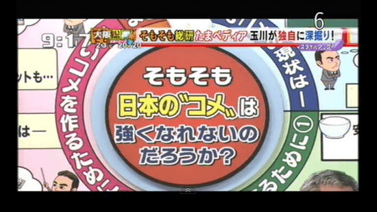 そもそも日本のコメは強くなれないのだろうか？