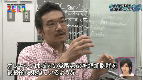 オレキシンは脳内の覚醒系の神経細胞群を最終的に束ねているような