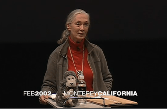 Jane Goodall （ジェーン・グドール）