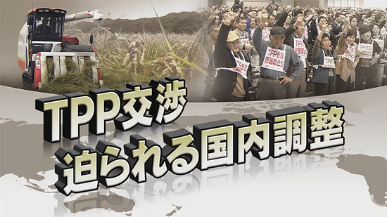 TPP交渉 迫られる国内調整