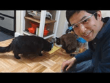 しゃべる猫「しおちゃん」を Google Glass（グーグルグラス）で撮影してみた！