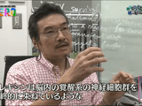 “眠り”のミステリー 睡眠研究 最前線！／NHK・サイエンスZERO