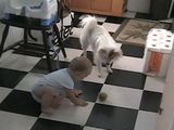 ニヤニヤが止まらない！テニスボールで遊ぶ赤ちゃんと犬がとっても楽しそう♪