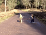 お散歩中に魅惑的な水たまりを発見してしまい、持っていた犬のリードを地面に置いて、心ゆくまで遊ぶことにした3歳ぐらいの男の子と、それをお行儀良く待つワンコ