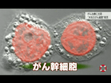 がん“根治”の時代は来るか ～“がん幹細胞”研究最前線～／NHK・クローズアップ現代