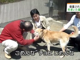 原発事故で飼い主とはぐれたペット約200匹を保護している大阪府・能勢町にある動物保護施設「ハッピーハウス」の取組み