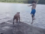 湖に飛び込んだ飼い主さんを全力で助けようとする犬「たたた大変だぁあああ！ご主人様が湖に落っこちたぁああ」