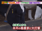 TPP参加で日本の酪農は壊滅するのか？／そもそも総研