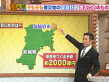 気仙沼の堤防計画に市民から疑問の声・復興予算を2000億円も使って作るのに、東日本大震災級の津波は防げず、高台移転が決まった場所でも建設／そもそも総研