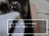 ドラクエ風に子猫を紹介する動画の完成度が高すぎる