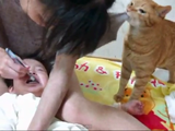 やめてあげて～！ 歯磨きで泣き叫ぶ赤ちゃんを助けようとするネコ