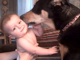 人間の赤ちゃんが好き過ぎてペロペロと舐めまくる犬と、とっても嬉しそうな赤ちゃん