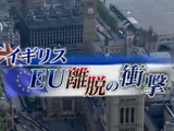 イギリス EU離脱の衝撃/NHKスペシャル イギリス EU離脱の衝撃/NHKスペシャル