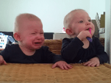 ひとつしかない歯ブラシをめぐって繰り広げられる、双子の赤ちゃんの終わり泣き戦い