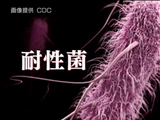 治る病気が治らない!? ～抗生物質クライシス～／NHK・クローズアップ現代