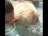 飼い主さんのマネをして水中でブクブクする犬