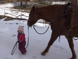 お馬さんの優しさにホッコリ♡　雪道を散歩する「小さな女の子」と「大きなお馬さん」