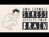 「慢性的なストレス」が脳に与える悪影響は遺伝子レベルにまで及ぶ／マデュミタ・ムルジア