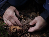 「風の谷のナウシカ」でナウシカが研究してたアレ／BS世界のドキュメンタリー 「菌類のチカラが人類を救う」
