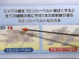 放射線被ばくの人体への影響／例えば、1.3ミリシーベルトでも癌の原因になるDNAの損傷は起こり得る