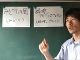 「緑の党」と「みどりの風」の違い／2013年 参院選