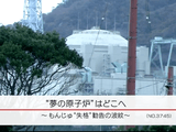 “夢の原子炉”はどこへ ～もんじゅ“失格”勧告の波紋～／NHK・クローズアップ現代