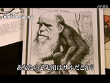 「進化論」を提唱したチャールズ・ダーウィンは、ひきこもりのオタクだった／NHK 追跡者 ザ・プロファイラー「ダーウィン 神に挑んだオタク」