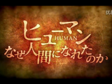 NHKスペシャル「ヒューマン-なぜ人間になれたのか-／第2集 グレートジャーニーの果てに」