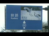 日本人は何をめざしてきたのか 第3回 「釧路湿原・鶴居村 ～開拓の村から国立公園へ～」／NHK・戦後史証言プロジェクト