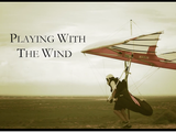 ハンググライダーがどうやって離陸して、どうやって着陸するかが良く分かる映像作品「Playing with the Wind」